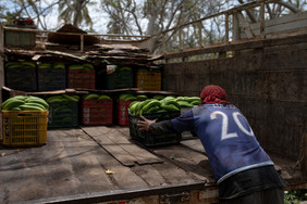Ein Arbeiter lädt Bananenkisten in einen LKW.