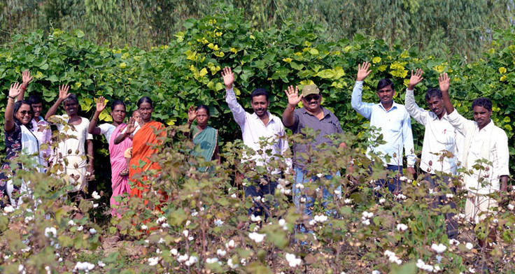 Baumwollbauern in Gujarat