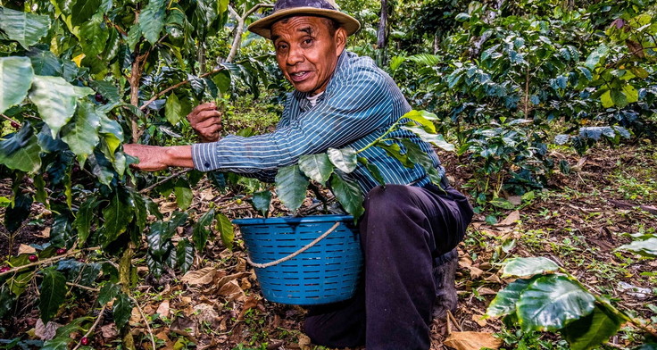 Genossenschaftlich stark: Domingo Medina Zacharias von der Kaffeekooperative Chajul in Guatemala